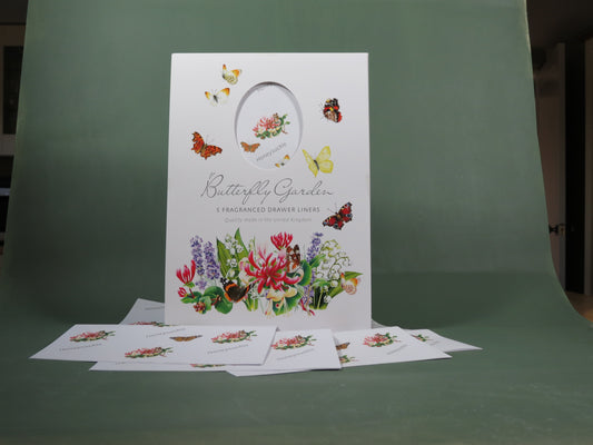 Honeysuckle (5 Per Pack) Fragrant Drawer Liners